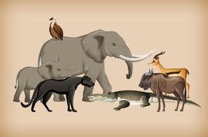 Group of wild animals on background vector