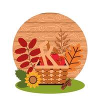 apples of autumn in wicker basket vector