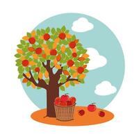 tree of apples in autumn with wicker asket vector