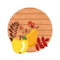 autumn fruit with wooden background vector