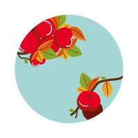 autumn apples with hanging branches vector