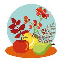 fruits of autumn with leaves decoration vector