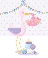 baby shower, stork with baby girl rattle and pacifier, celebration welcome newborn vector