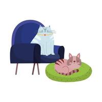 pets resting cats in chair and cushion cartoon isolated design vector