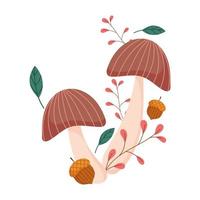 autumn mushrooms acorn branch leaves isolated design white background vector