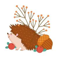 autumn hedgehog acorn berries banches isolated design white background vector