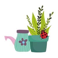 gardening, watering can potted plant with ladybug isolated design vector