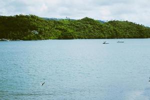 Green hills near the ocean photo