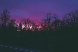 siluetas de árboles al atardecer foto