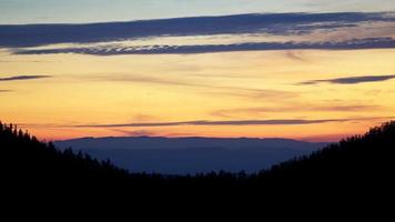 Silhouette of trees during sunset photo