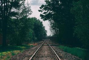Train tracks surrounded by trees photo