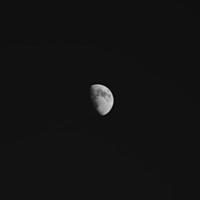 Grayscale of the moon photo