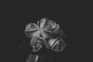 Grayscale of roses photo