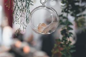 Clear bauble on a tree photo