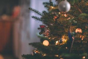 Close-up of Christmas decor photo