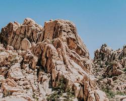 parque nacional joshua tree foto