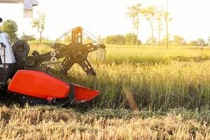 Harvester agriculture machine and harvesting in rice field working photo