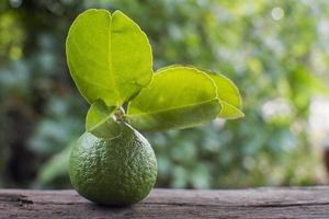 Fresh lime with leaves on wooden background photo