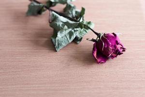 Dry roses placed on a wooden table photo