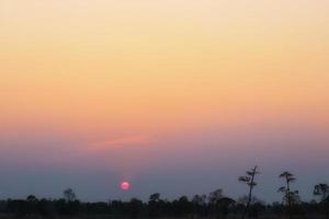 Silhouette of tree with sunset in the evening. photo