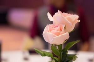 rosas rosadas para decorar la mesa de la cena. foto