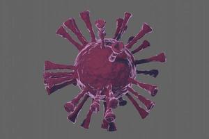 Coronavirus or COVID-19 cell under the microscope photo