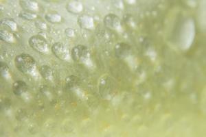 Water drops on the petal of a yellow flower photo