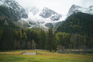 Mountain and trees with cloudy sky photo