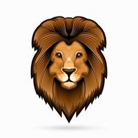 Lion head line art vector