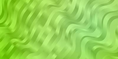 Light Green vector background with curves.