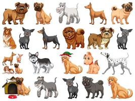 Different funny dogs in cartoon style isolated on white background vector