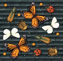 Set of different insects isolated vector