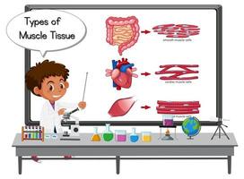 Young scientist explaining types of muscle tissue in front of a board with laboratory elements vector