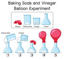 Science experiment with baking soda and vinegar balloon vector