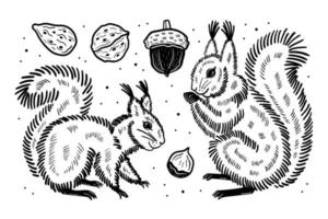 Forest set of elements. Squirrels acorn nut seed. Black ink vector design.