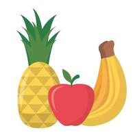 diseño de vector de fruta de plátano piña y manzana