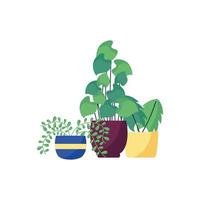 Isolated plants inside pots vector design