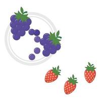 diseño vectorial de frutas aisladas