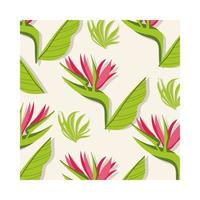 heliconias plants tropical pattern background vector