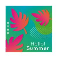 hola verano colorido banner con planta de hoja vector