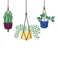 Hanging plants inside pots vector design