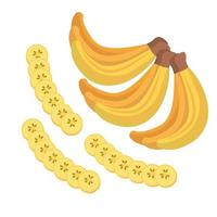 Isolated banana fruit vector design