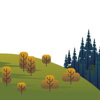 árboles y bosques de pinos en la escena del campo. vector