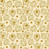 Physalis winter cherry seamless pattern texture background. vector