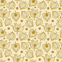 Physalis winter cherry seamless pattern texture background. vector