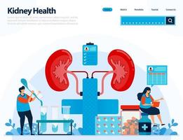 illustration for checking kidney health. diseases and disorders of kidney. checking and handling for internal organs. designed for landing page, template, ui ux, website, mobile app, flyer, brochure vector