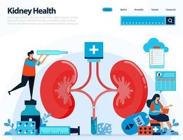 illustration for checking kidney health. diseases and disorders of kidney. checking and handling for internal organs. designed for landing page, template, ui ux, website, mobile app, flyer, brochure vector