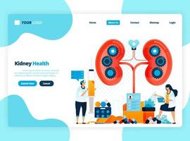 illustration for checking kidney health. diseases and disorders of kidney. checking and handling for internal organs. designed for landing page, template, ui ux, website, mobile app, flyer, brochure vector