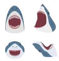 Big white shark with mouth open set vector