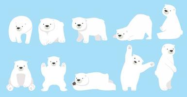 Cute polar bear funny character set vector